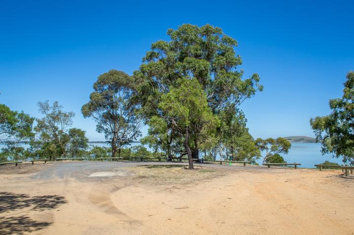 20201209 dsc 2408