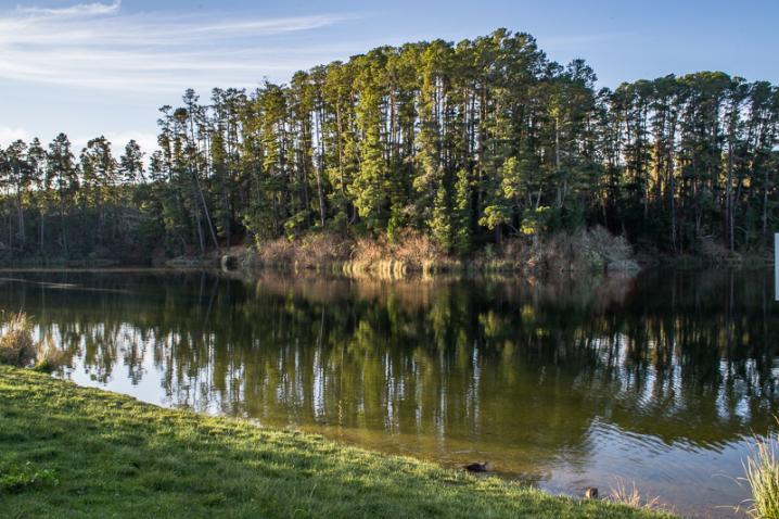 Dsc 8901