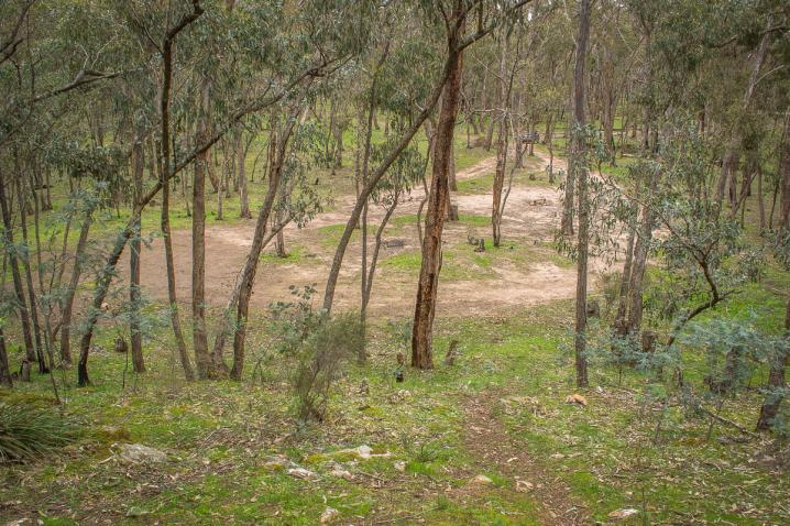 20200911 dsc 1914