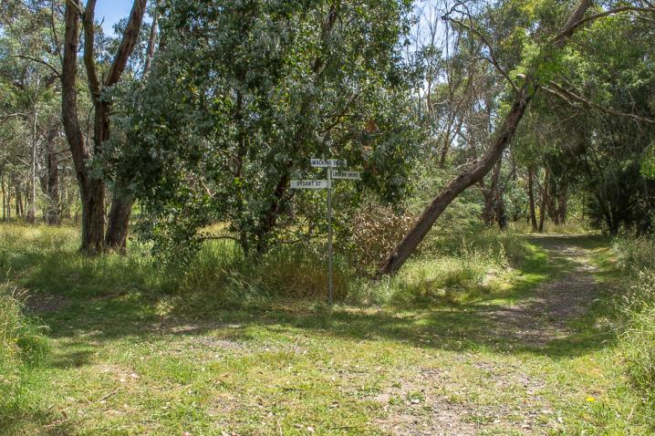 20201216 dsc 2869
