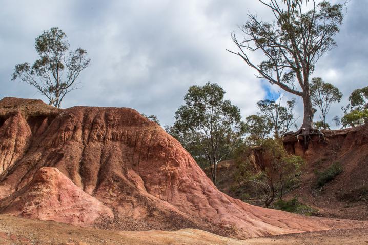 Dsc 1279