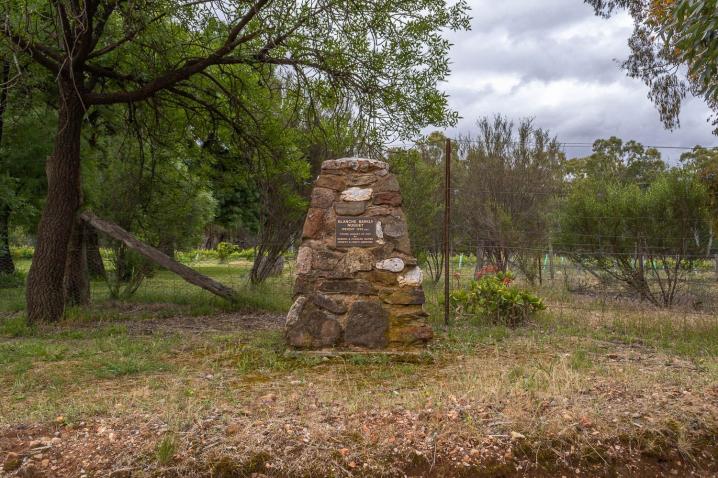 Dsc 6534 1 