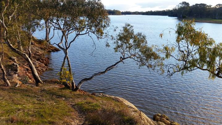 Laanecoorie Reservoir Weir | Goldfields Guide